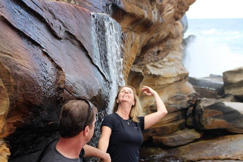 Royal National Park Tour - Accommodation Bookings 4