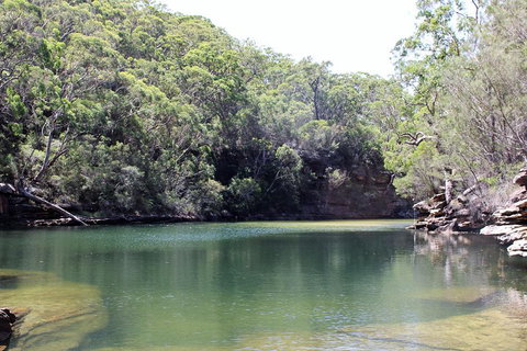 Royal National Park Tour - Accommodation Bookings 5