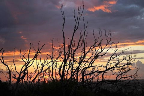 Sydney Harbour, Northern Beaches And National Park - Accommodation Bookings 4
