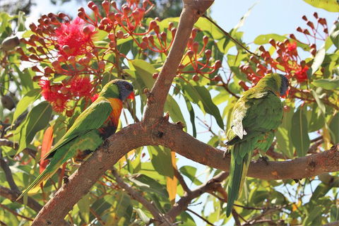 Sydney Harbour, Northern Beaches And National Park - Accommodation Bookings 5