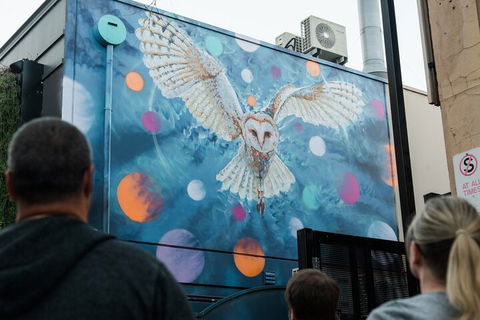 Jimmy C Street Art Walking Tour - Accommodation Bookings 1