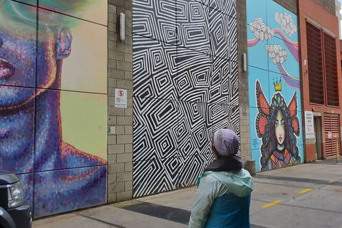 Jimmy C Street Art Walking Tour - Accommodation Bookings 2