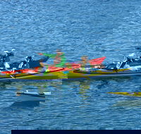 Half-Day Sydney Middle Harbour Guided Kayaking Eco Tour - Accommodation Bookings
