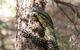 Byron Bay Combo: Minyon Falls And Hinterland Day Trip And Learn To Surf At Byron Bay - thumb 0