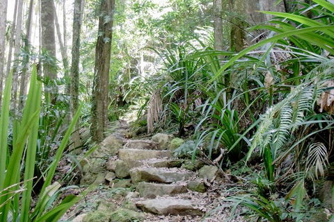 Byron Bay Combo: Minyon Falls And Hinterland Day Trip And Learn To Surf At Byron Bay - Accommodation Bookings 3