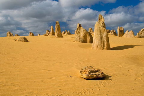 The Pinnacles, Sea And Dunescapes, Bush Reserve And Sunset Day Tour - Accommodation Bookings 0