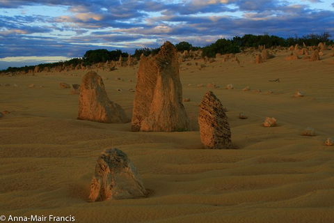 The Pinnacles, Sea And Dunescapes, Bush Reserve And Sunset Day Tour - Accommodation Bookings 1