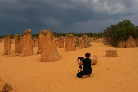 The Pinnacles, Sea And Dunescapes, Bush Reserve And Sunset Day Tour - Accommodation Bookings 2