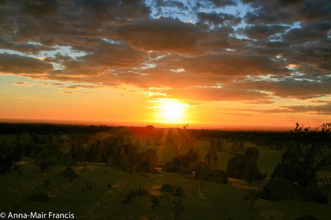 The Pinnacles, Sea And Dunescapes, Bush Reserve And Sunset Day Tour - Accommodation Bookings 3