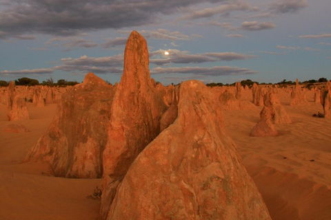 The Pinnacles, Sea And Dunescapes, Bush Reserve And Sunset Day Tour - Accommodation Bookings 4