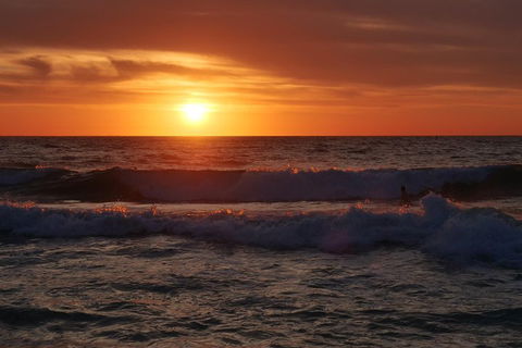 Australian Animals, Seascape And Sunset Photography Tour - Accommodation Bookings 5