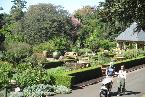 Private City Walking Tour From Your Hotel - Accommodation Bookings 1