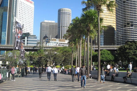 Private City Walking Tour From Your Hotel - Accommodation Bookings 2