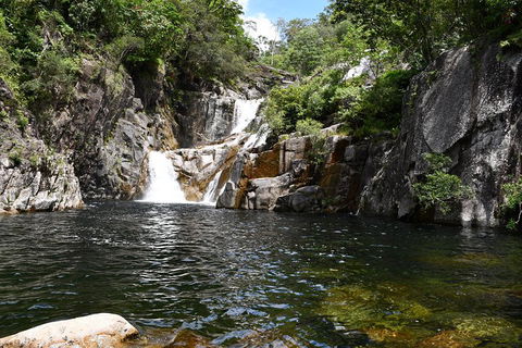 Behana Canyon Rainforest And Waterfall Experience - Accommodation Bookings 0