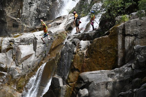 Behana Canyon Rainforest And Waterfall Experience - Accommodation Bookings 2