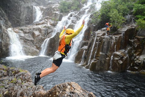 Behana Canyon Rainforest And Waterfall Experience - Accommodation Bookings 3