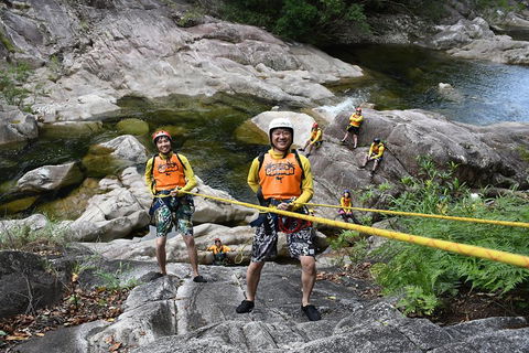 Behana Canyon Rainforest And Waterfall Experience - Accommodation Bookings 4
