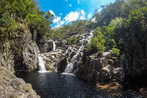 Behana Canyon Rainforest And Waterfall Experience - Accommodation Bookings 5