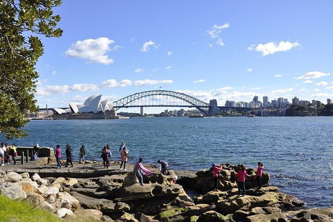 Sydney Sightseeing Bus Tours - Accommodation Bookings 2
