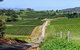 The Complete Hunter Valley Wine Tour Of Pokolbin, Mt View, Lovedale And Rothbury - thumb 0