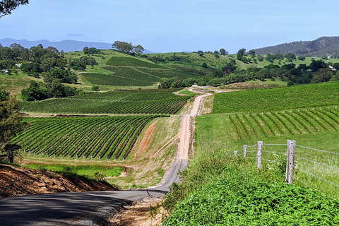 The Complete Hunter Valley Wine Tour Of Pokolbin, Mt View, Lovedale And Rothbury - Accommodation Bookings 0