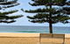 Manly & Sydney's Northern Beaches With 'Personalised Sydney Tours' - thumb 0