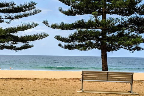 Manly & Sydney's Northern Beaches With 'Personalised Sydney Tours' - Accommodation Bookings 0
