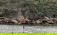 Manly & Sydney's Northern Beaches With 'Personalised Sydney Tours' - thumb 3