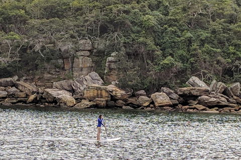 Manly & Sydney's Northern Beaches With 'Personalised Sydney Tours' - Accommodation Bookings 3