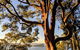 Manly & Sydney's Northern Beaches With 'Personalised Sydney Tours' - thumb 4