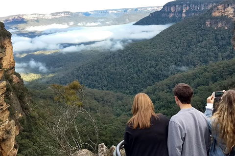 Blue Mountains Private Tour - Wild Kangaroos, Waterfalls And The Three Sisters - Accommodation Bookings 3