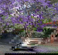 Sydney Secrets  Bondi Beach Private 4 Hr Morning with Personalised Sydney Tours - Accommodation Bookings