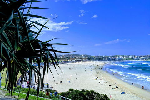 Sydney Secrets & Bondi Private 4 Hour Afternoon With 'Personalised Sydney Tours' - Accommodation Bookings 0