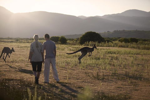 Overnight Daylesford And Macedon Ranges Gourmet Food Trail Tour From Melbourne - Accommodation Bookings 1