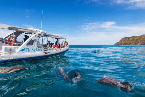 Victor Harbor And McLaren Vale Wine Region Day Tour - Accommodation Bookings 1