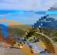 Private Tour Mornington Peninsula Family Maze and Fun - Accommodation Bookings