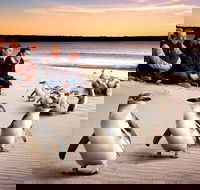 Private Tour Penguin Parade Phillip Island Tour. - Accommodation Bookings