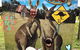 [Private Tour] â€œPenguin Paradeâ€ Phillip Island Tour. - thumb 5