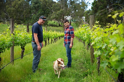 LGBT+ Friendly Full Day Yarra Valley & Dandenong Ranges Private Tour - Accommodation Bookings 4