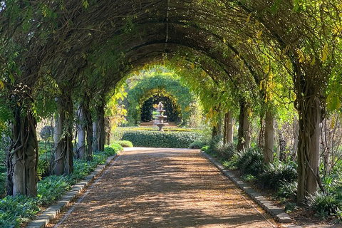 LGBT+ Friendly Full Day Yarra Valley & Dandenong Ranges Private Tour - Accommodation Bookings 5