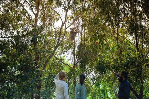 LGBT+ Friendly 3 Day Tour The Grampians, Daylesford & Ballarat - Accommodation Bookings 4