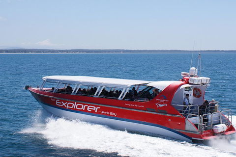 Whale Watching Jervis Bay - Accommodation Bookings 1