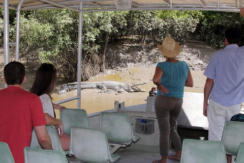 Whitsunday Crocodile Safari Including Lunch - Accommodation Bookings 4