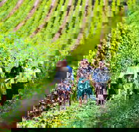 Tasmanian Wine Tour - Accommodation Bookings