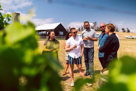 Tasmanian Wine Tour - Accommodation Bookings 5