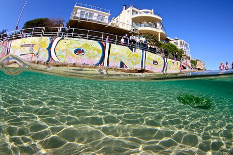 Bondi Like A Local: Half-Day Sightseeing Tour Including Surf Lesson - Accommodation Bookings 4