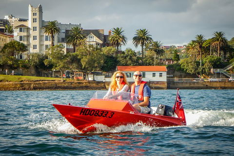 Sydney Speed Boat Adventure Harbour Tour - Accommodation Bookings 4