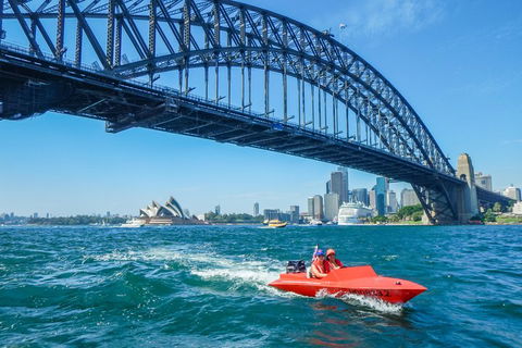 Sydney Speed Boat Adventure Harbour Tour - Accommodation Bookings 5
