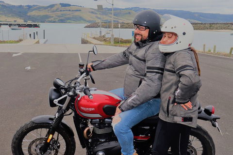 Triumph Street Scrambler 900cc - Accommodation Bookings 1