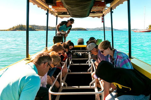 Airlie Beach Glass Bottom Boat Tour - Accommodation Bookings 1